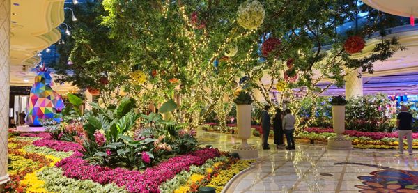 Wynn Las Vegas by null