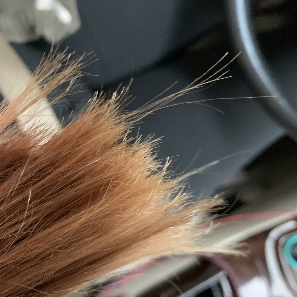 Riot Crrl Studio - Uneven hair length. - Hair Stylists Near Me - Austin, Texas Riot Crrl Studio - Uneven hair length. - Hair Stylists Near Me - Austin, Texas