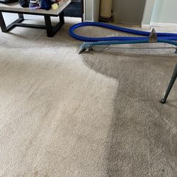 Ultimate Carpet Cleaners