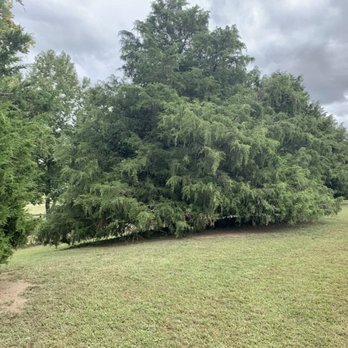 Two Rivers Dog Park - Dog Parks Near Me - Nashville, Tennessee Two Rivers Dog Park - Dog Parks Near Me - Nashville, Tennessee