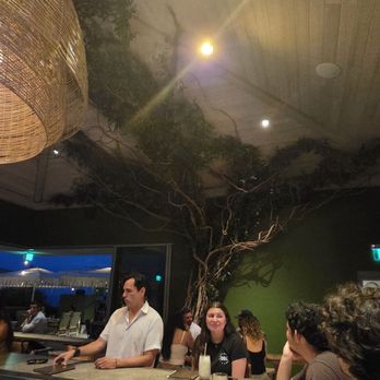 The Rooftop Bar - Bar - Beer Bar Near Me - Oceanside, California The Rooftop Bar - Bar - Beer Bar Near Me - Oceanside, California