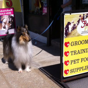 Fieldston Pets - Just Groomed ...:) - Pet Training Near Me - Bronx, New York Fieldston Pets - Just Groomed ...:) - Pet Training Near Me - Bronx, New York