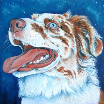 Pet Loss At Home - Home Euthanasia Vets - Veterinarians Near Me Pet Loss At Home - Home Euthanasia Vets - Veterinarians Near Me