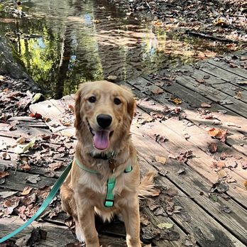 Killens Pond State Park - Puppy's favorite spot for a photo op. - Parks Near Me Killens Pond State Park - Puppy's favorite spot for a photo op. - Parks Near Me