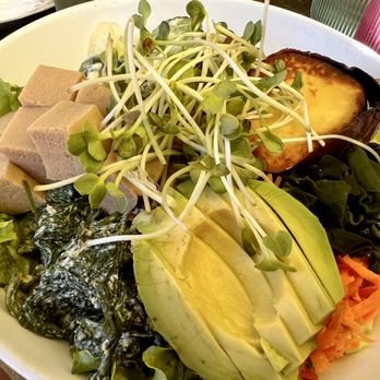 Hip Vegan - The Wagamama bowl. - Vegan Near Me - Ojai, California