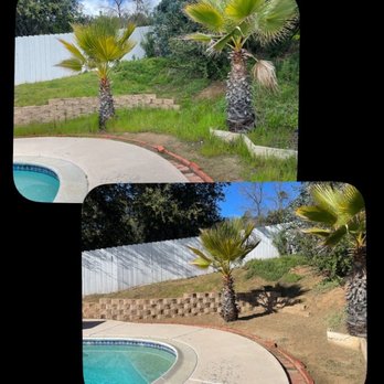 Fredy's Landscaping & Gardening - Backyard - Landscaping Near Me Fredy's Landscaping & Gardening - Backyard - Landscaping Near Me