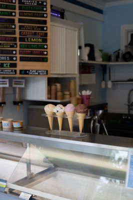 Willard Scoops by null