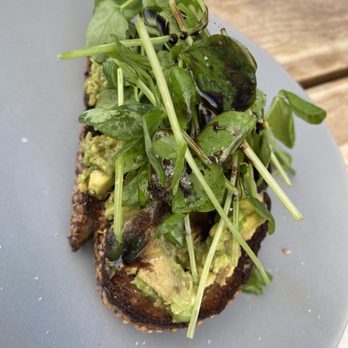 Blue Ridge Kitchen - $15 avocado toast (I find this offensive) - Southern Near Me - Sebastopol, California Blue Ridge Kitchen - $15 avocado toast (I find this offensive) - Southern Near Me - Sebastopol, California