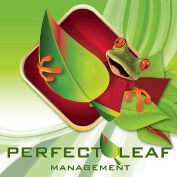 Perfect Leaf Management - Perfect Leaf Management - Pest Control Near Me Perfect Leaf Management - Perfect Leaf Management - Pest Control Near Me