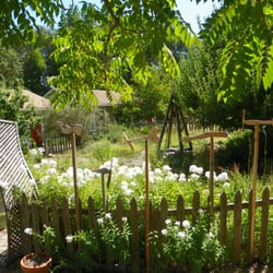 The Waldorf School of Mendocino County - Our Circle Garden