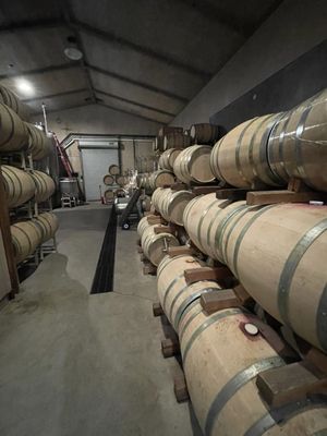 Farella Vineyard by null