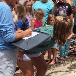 George Core Park - Documenting turtle vitals and Microchip implant info during the tag-n-release at the 2019 Forgotten Coast Sea Turtle Festival