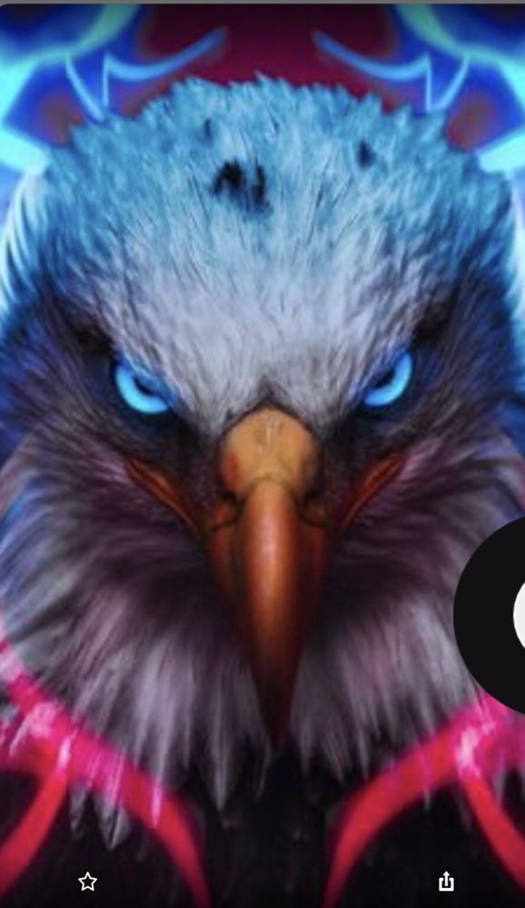 Slide of American Eagle Roofing