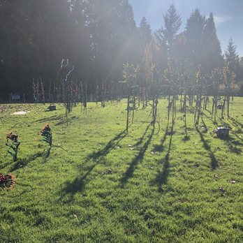 Bellevue Botanical Garden - The light show set up. - Botanical Gardens Near Me - Bellevue, Washington