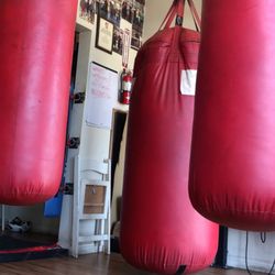 House of Venom Boxing Club - Heavy bags