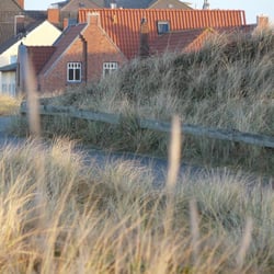 Entenhus im Friesenstall