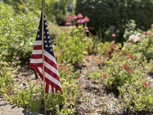 Rombauer Vineyards Sierra Foothills by null