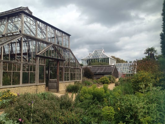 Cambridge University Botanic Garden by null