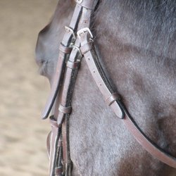 Sugar Land Stables - Sleepy Work Day