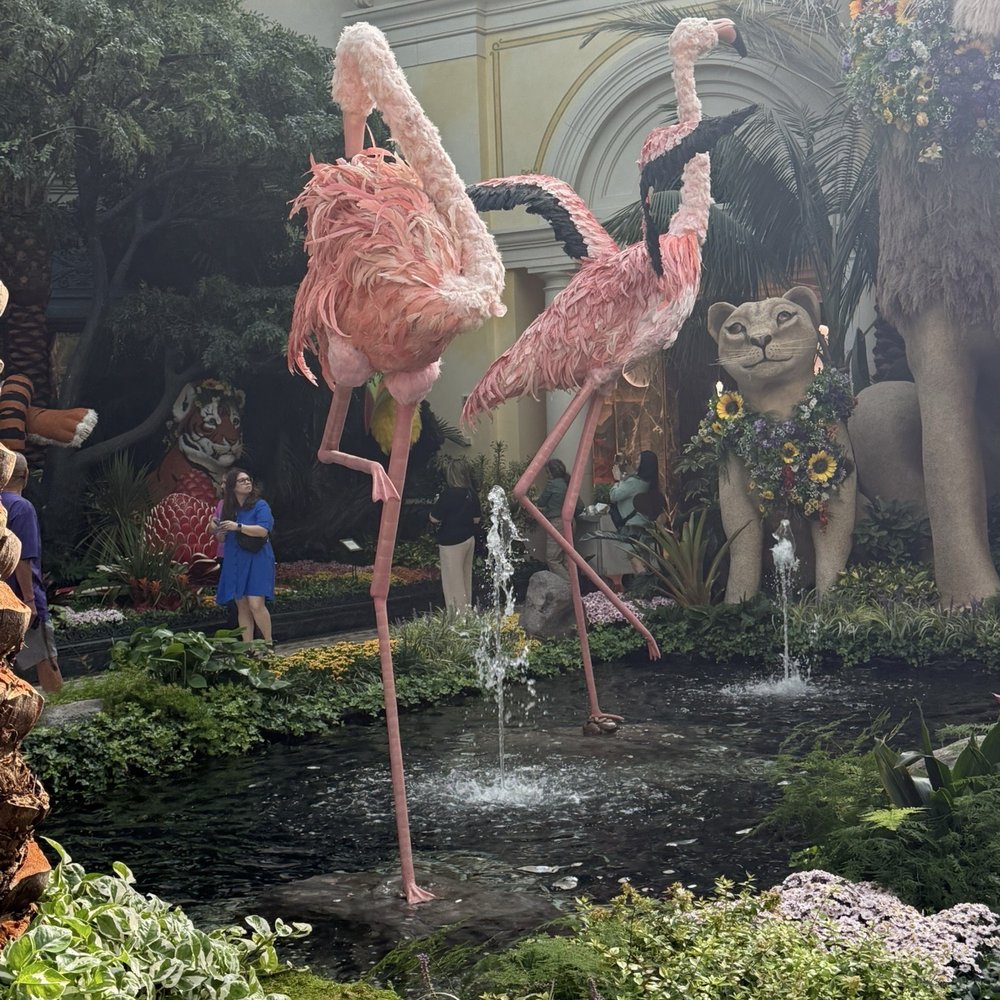 Bellagio - Hotels Near Me - Las Vegas, Nevada Bellagio - Hotels Near Me - Las Vegas, Nevada
