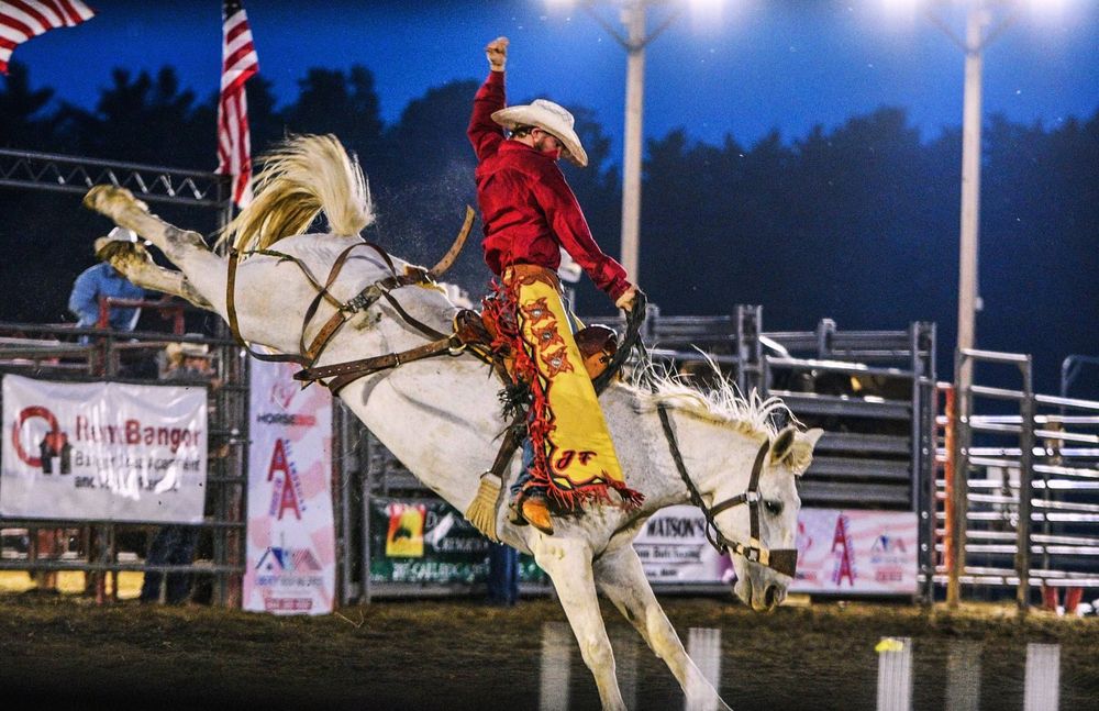 Apple Hill Stables - equestrian in Levant, ME