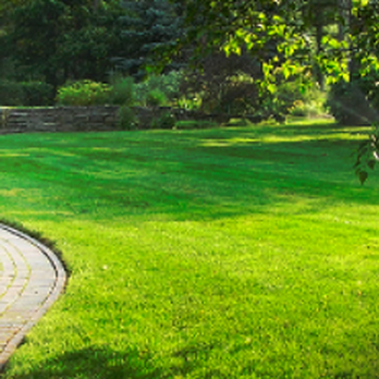 Willy's Landscaping - a brick walkway in a park - Landscaping Near Me - Kingston, New York Willy's Landscaping - a brick walkway in a park - Landscaping Near Me - Kingston, New York
