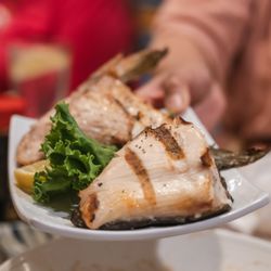 Akasaka Sushi Restaurant - Yellowtail Collar