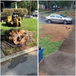 Stingers Stump Grinding & Land Management