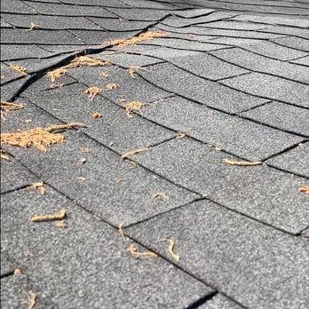 Trusted Adjusting - Roof Inspectors Near Me Trusted Adjusting - Roof Inspectors Near Me