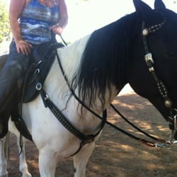 Desert Saddlery