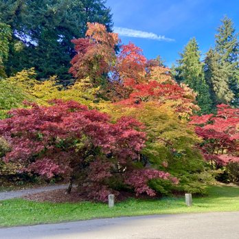 Washington Park Arboretum - Fall colors :-) - Parks Near Me - Seattle, Washington Washington Park Arboretum - Fall colors :-) - Parks Near Me - Seattle, Washington