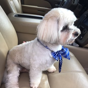 Perfect Pet Salon - Pet Groomers Near Me - Concord, California Perfect Pet Salon - Pet Groomers Near Me - Concord, California
