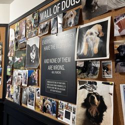 Black Dog Coffee House - Wall of dogs