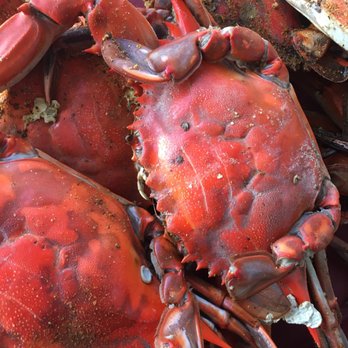 The Blue Crab - Seafood Near Me - Bethany Beach, Delaware The Blue Crab - Seafood Near Me - Bethany Beach, Delaware