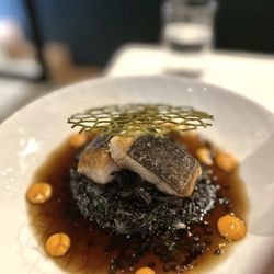 Foray - Black Cod