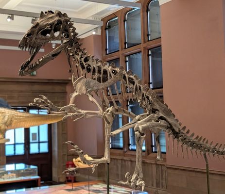 Kelvingrove Art Gallery and Museum by null