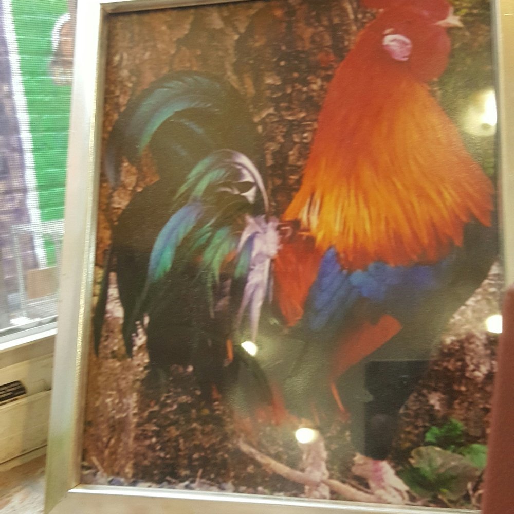 Taino's Kitchen - Great cock pic - Puerto Rican Near Me - Newark, New Jersey Taino's Kitchen - Great cock pic - Puerto Rican Near Me - Newark, New Jersey