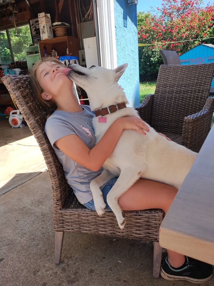 Marisol’s Home Care Services - childcare center in Sacramento, CA