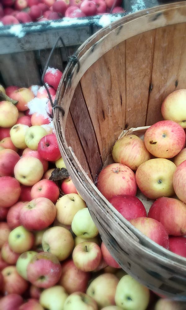 Lain's Cider Mill Logo