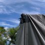 Photo of Wipeout Pests & Termites