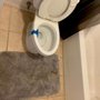 Photo of Collett’s Cleaning Services 
