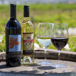 Lorimar Vineyards and Winery - Handcrafted Artist Series wine and estate views at Lorimar Vineyards and Winery. A perfect fusion of wine, art, and music in Temecula.