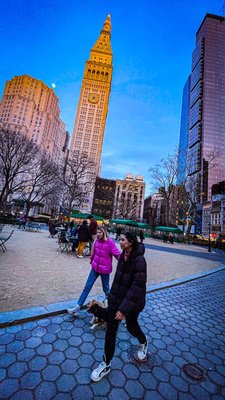Madison Square Park by null