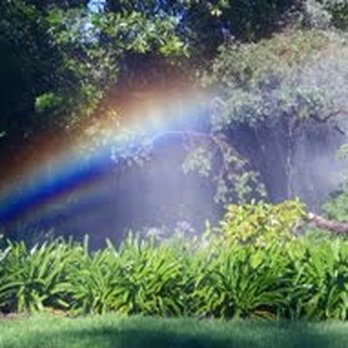 Intelligent Irrigation - Irrigation Near Me Intelligent Irrigation - Irrigation Near Me