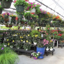 Ed’s Landscaping & Garden Center - Our greenhouse
