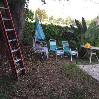 Terminix - Pest Control Near Me - Clearwater, Florida Terminix - Pest Control Near Me - Clearwater, Florida