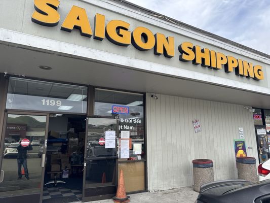 EMP サンセベリア Saigon サイゴン /最後の写真 イメージ SA354 ATSUSHI TAKEOKA 竹岡篤史 | . . Sansevieria dancing dragon