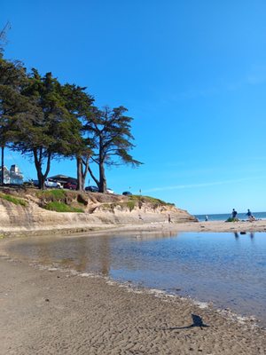 Sunny Cove Motel by null