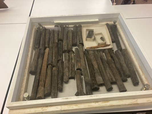 Alexandria Archaeology Museum by null