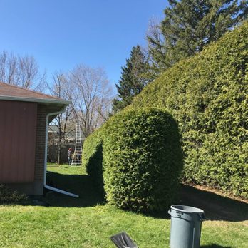 Litchfield County Tree Service - Tree Services Near Me